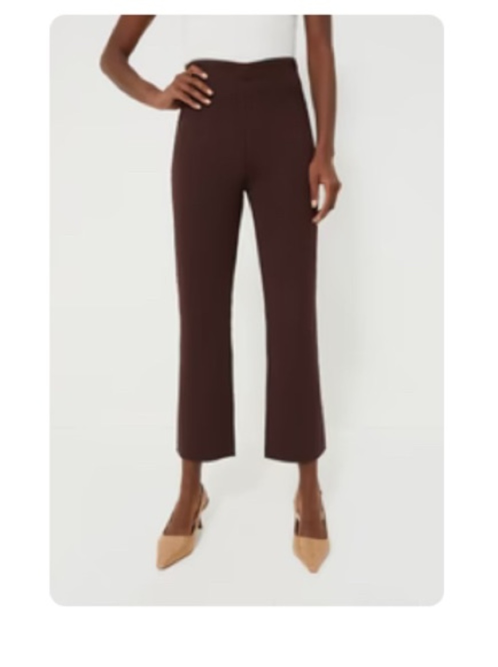 Brown Compression Knit Ashford Pants - Tuckernuck
